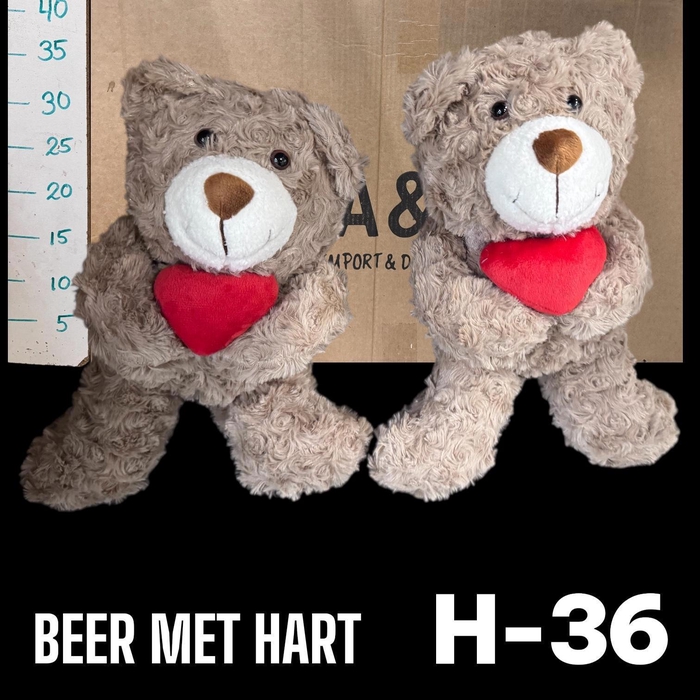 <h4>HUIS EN TUINDECO H%</h4>