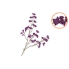 Silk Berry Spice Dark Purple 108cm