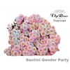 CHR S GENDER PARTY