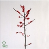 ILEX VERTICILATA MAGICAL BERRY EX#