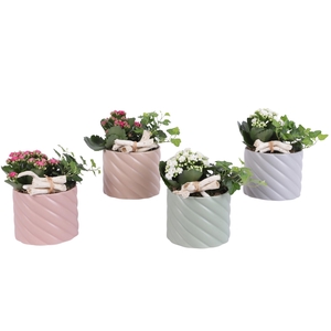 Yearround Arr. Indoor Ceramic Soft Elegance SE661 Ø14cm 2PP