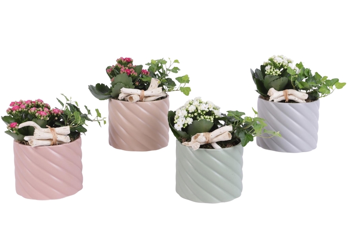 <h4>Yearround Arr. Indoor Ceramic Soft Elegance SE661 Ø14cm 2PP</h4>