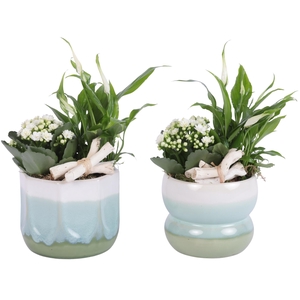 Yearround Arr. Indoor Ceramic Fresh Breeze FB675 Ø15cm 2PP