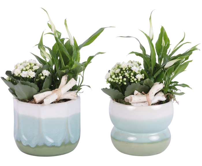 <h4>Yearround Arr. Indoor Ceramic Fresh Breeze FB675 Ø15cm 2PP</h4>