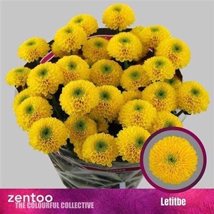 Chr T Letitbe ''new'' (1-3)