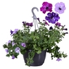 Hpot Petunia Mixlaag