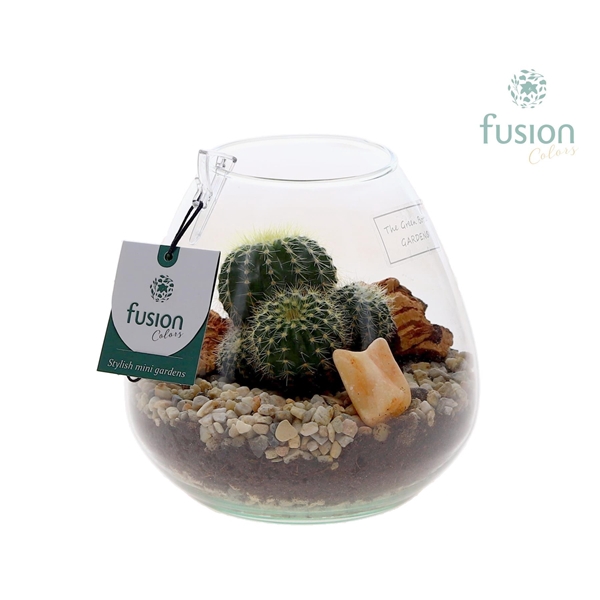 Green Bottle Abby Small met Cactussen