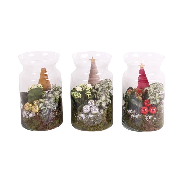 <h4>Christmas Indoor Special: Milk Jug Vase ø15cm with 2PP</h4>