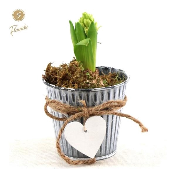 <h4>(DN353) Hyacint Zinc Bucket Heart</h4>