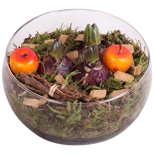 Bulbs Winter Arr. Hyacint Glass Bowl Vase Ø20cm 3PP