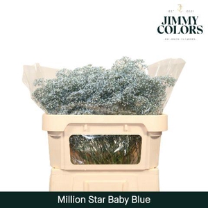 Gyps Million Star L70 Light Blue