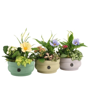 11571: Consideration arrangement