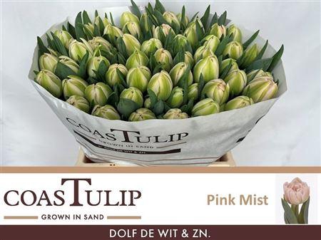 <h4>Tu Du Pink Mist</h4>