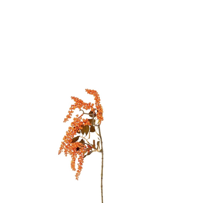 <h4>Berry Jungle 72cm</h4>