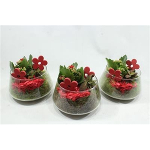 1510 RED UFO GLAS