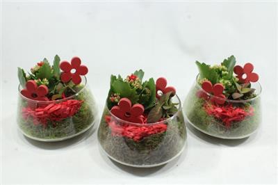 <h4>1510 RED UFO GLAS</h4>