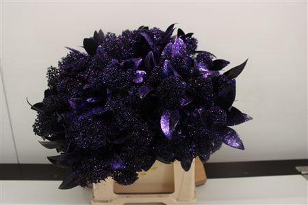 <h4>Skimmia Aubergine Glitter</h4>