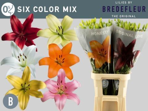 <h4>LI LA GEM IN FUST</h4>