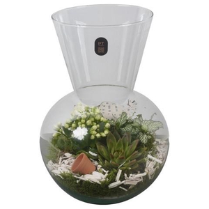 PTIG2631 Arrangement Indoor in glazen vaas