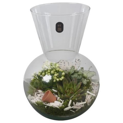 <h4>PTIG2631 Arrangement Indoor in glazen vaas</h4>