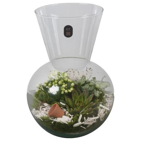 <h4>PTIG2631 Arrangement Indoor in glazen vaas</h4>