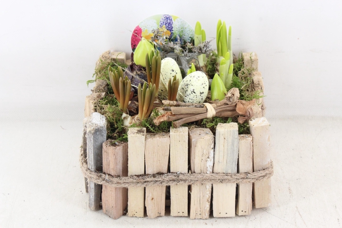 <h4>arr4 Bollenmix VL - Hout kist 4kant</h4>