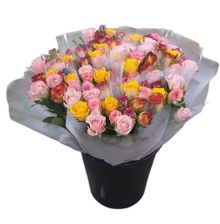 <h4>R Gr Rainbow Mix</h4>