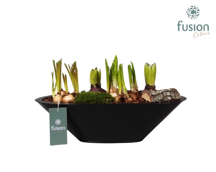 <h4>Metalen bootvorm pot met</h4>