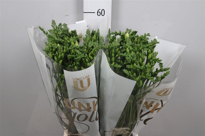 <h4>Fr Du Vivre</h4>