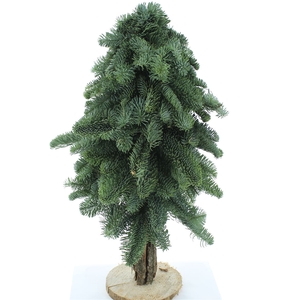 Nobilis Kerstboom Op Stam 60cm