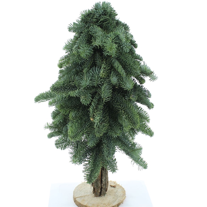 <h4>Nobilis Kerstboom Op Stam 60cm</h4>