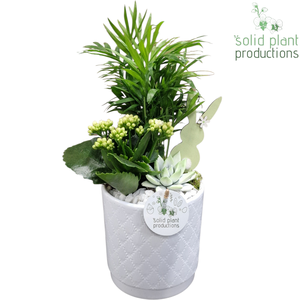 CE001 Amy White Easter