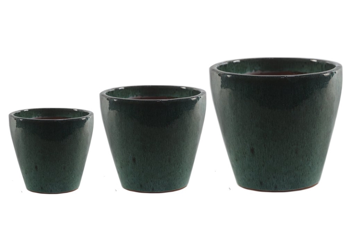 VASO YARA DRIPGREEN D22 A22 IMP