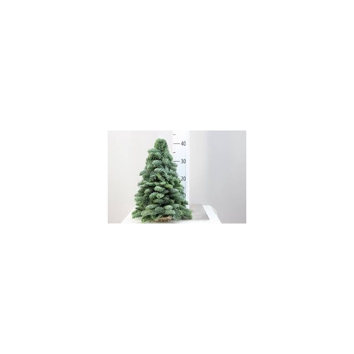 <h4>KERSTBOOM 40CM</h4>