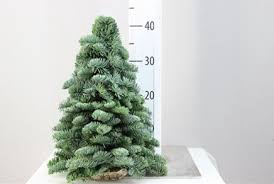 KERSTBOOM 40CM