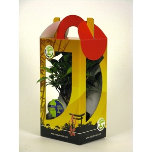bonsai mix 15 cm in chinese gift box