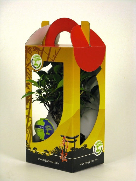 <h4>bonsai mix 15 cm in chinese gift box with drip tray</h4>