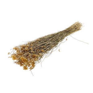 Bunch Lonas Slv 100g L45