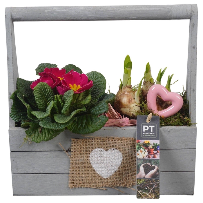 <h4>PTVO3620 Arrangement Valentine Outdoor in houten bak</h4>