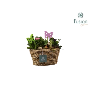 Mand ovaal zeegras voorjaar