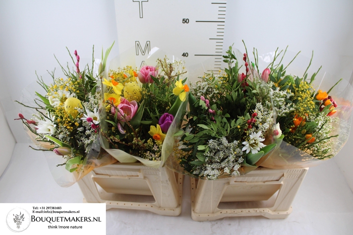 <h4>GEM BOEKET OV</h4>