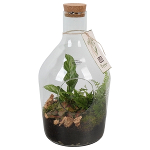 PTGIG2159 Arrangement Greens in glass in glazen fles