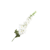 Delphinium White FL440044WHI