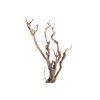 Syringa Branch Super Halvorsen