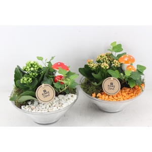 arr2 PL - Glas ribbelschaal x3 - oranje/wit