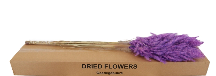 <h4>DROOGBL BEWERKT H%</h4>