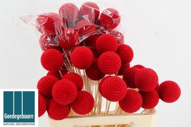 <h4>KERSTBAL OP STOK H%</h4>