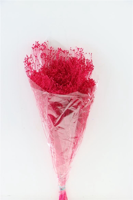 Dried Brooms Fuchsia Bunch