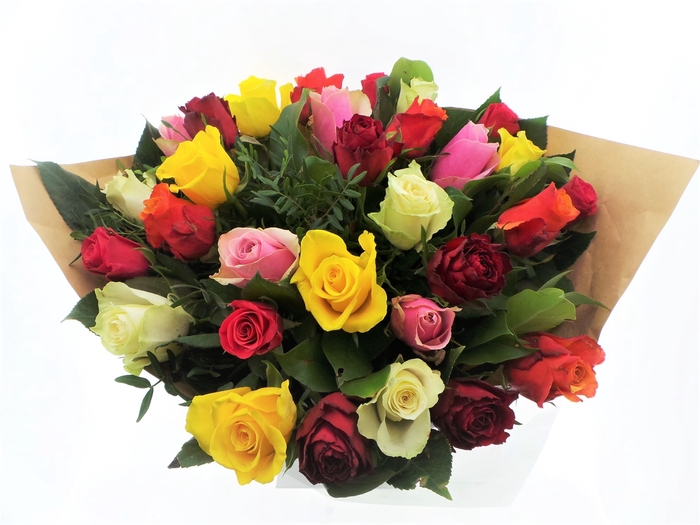 <h4>BQ Roses Mixed</h4>