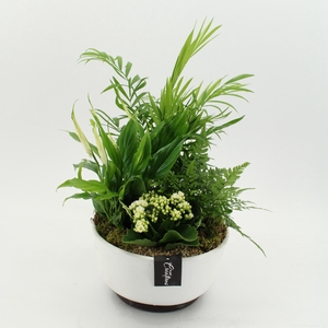 ESCR-2640W Essentials